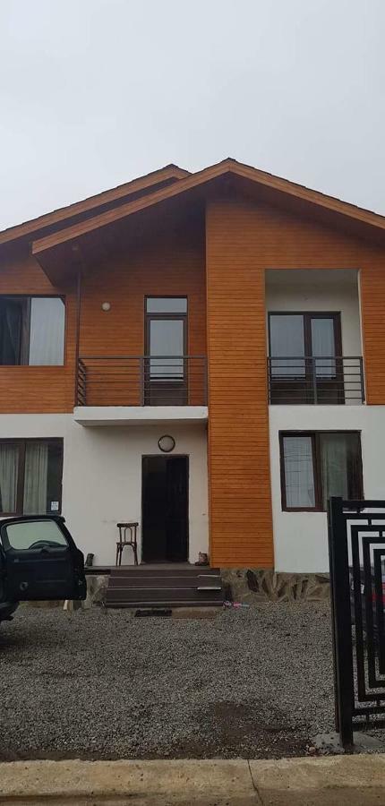 N1 Cottage In Bakuriani Exterior foto